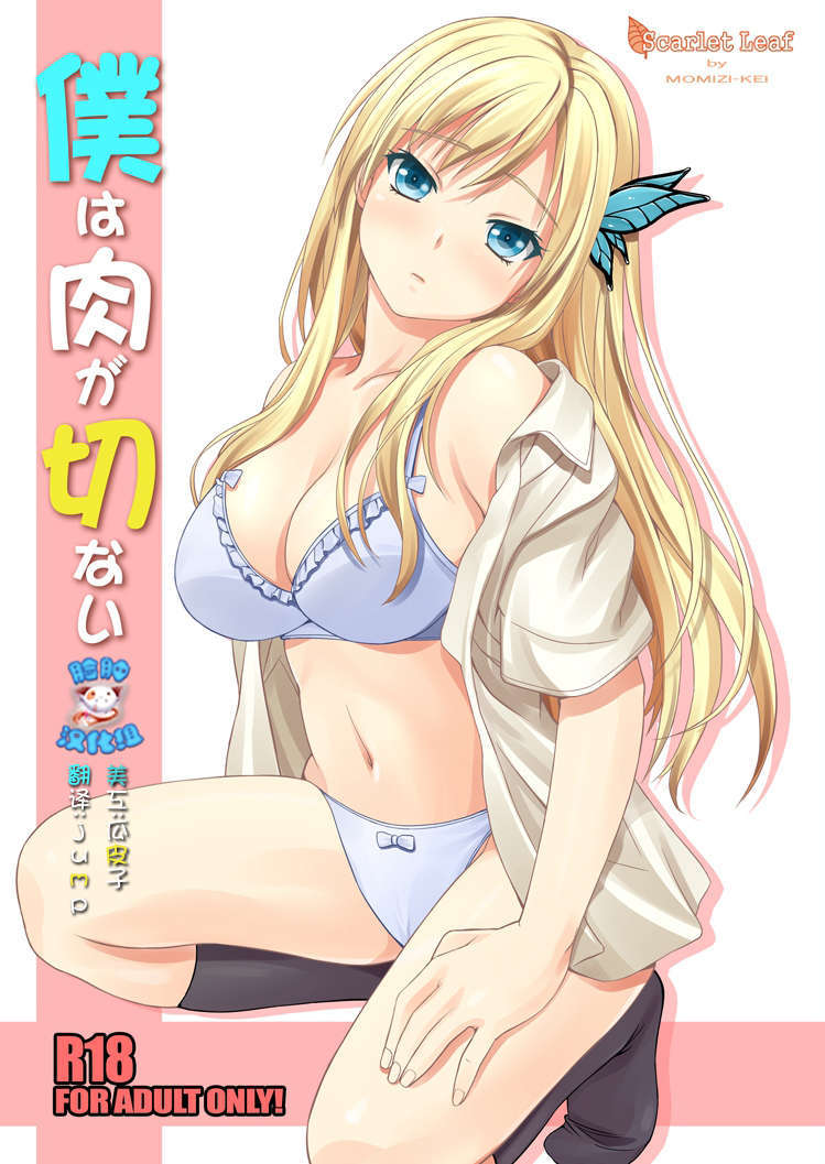 [臉腫漢化組](C81)[Scarlet Leaf (紅葉-K)] 僕は肉が切ない (Boku wa Tomodachi ga Sukunai)(23P) - 情色卡漫 -