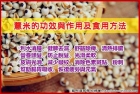 薏米的功效與作用及食用方法