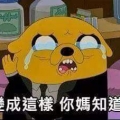 我的相簿