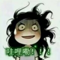 我的相簿