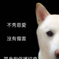 雜七雜八