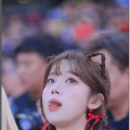 我的相簿