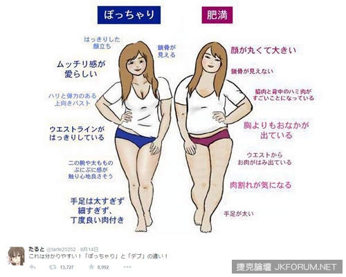 《肉肉女與胖胖女的差別》關鍵到底是長相還是乳量？（喂）