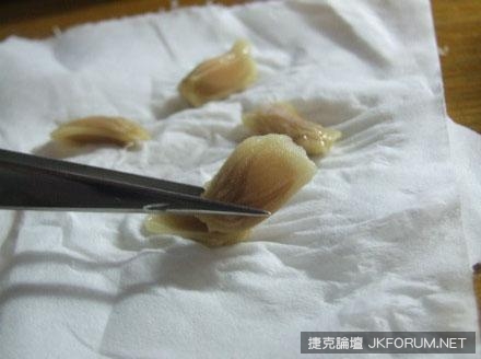 教你用水果籽做成杯子裡的小森林