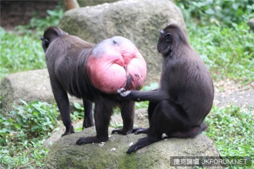 我到底該把手放哪兒? 關於女人性愛時的幾個小隨想