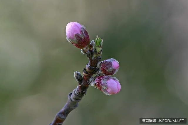 夢境代表的意義：夢到這些代表？