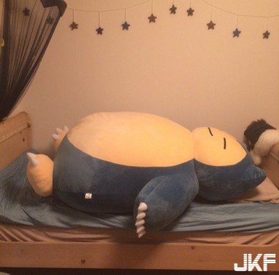 《Pokemon》系列超巨型卡比獸 Cushion 正式出貨！日本買家收貨後紛紛叫苦連天