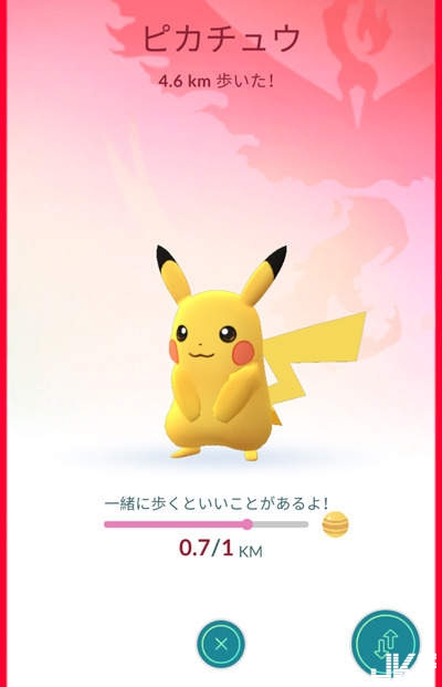 Pokemon Go新功能　「夥伴寶可夢」稀有糖果也能輕鬆入手