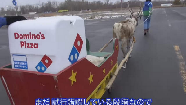 【蜗牛棋牌】北海道達美樂新創舉！Pizza外送員居然是「馴鹿」（這可不是開玩笑～訓練已經開始……