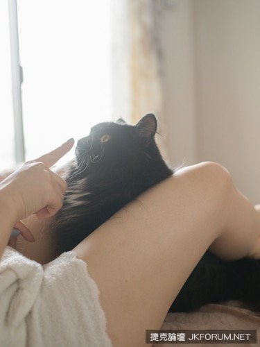 《貓咪與大腿》青山裕企攝影展！到底該看美腿還是該看貓？