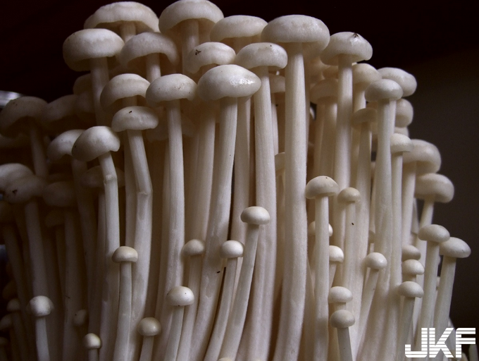 比催情劑還強！充滿性暗示的工口類食物…濃濃情慾感讓人直呼好想要