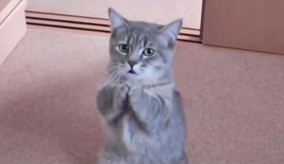 誠心感謝