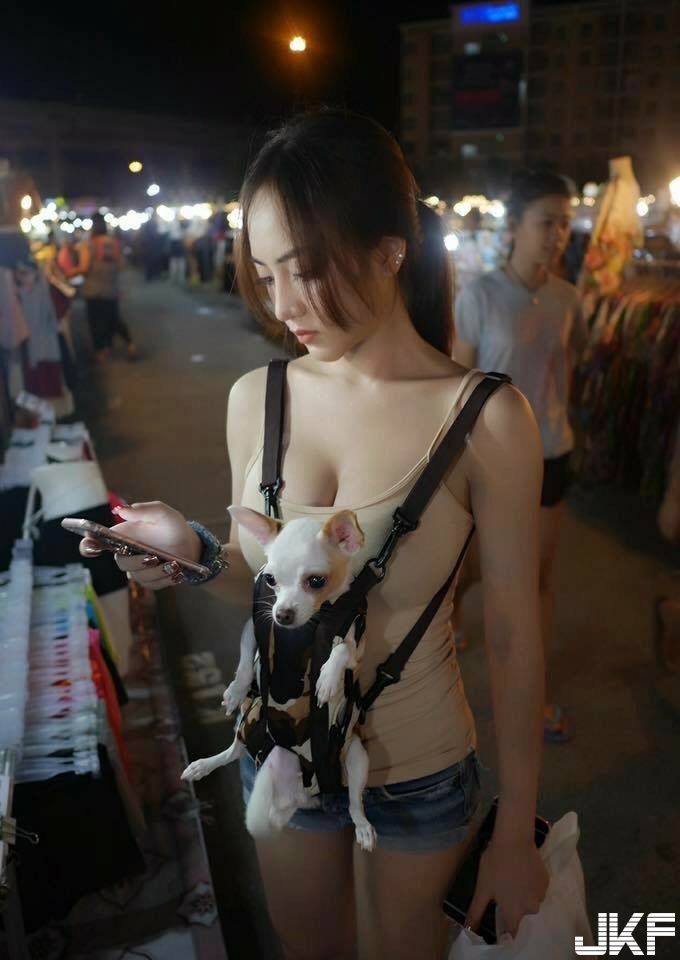 用奶遛狗！「豪乳正妹」胸前放著吉娃娃逛夜市！終於被網友神到了！