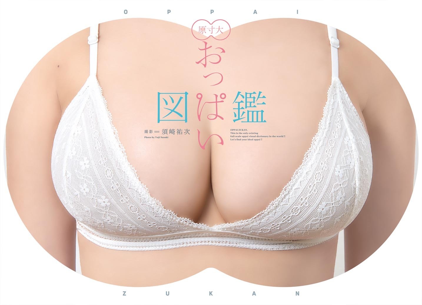 1：1比例「歐派圖鑑」裸體版發行！原尺寸詳細展示「A→O」到底有多大！