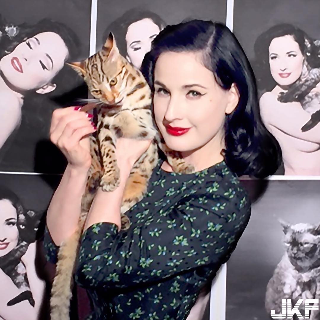 世界頂尖脫衣舞孃 Dita Von Teese 煽情國度讓你入迷 - 歐美美女 -