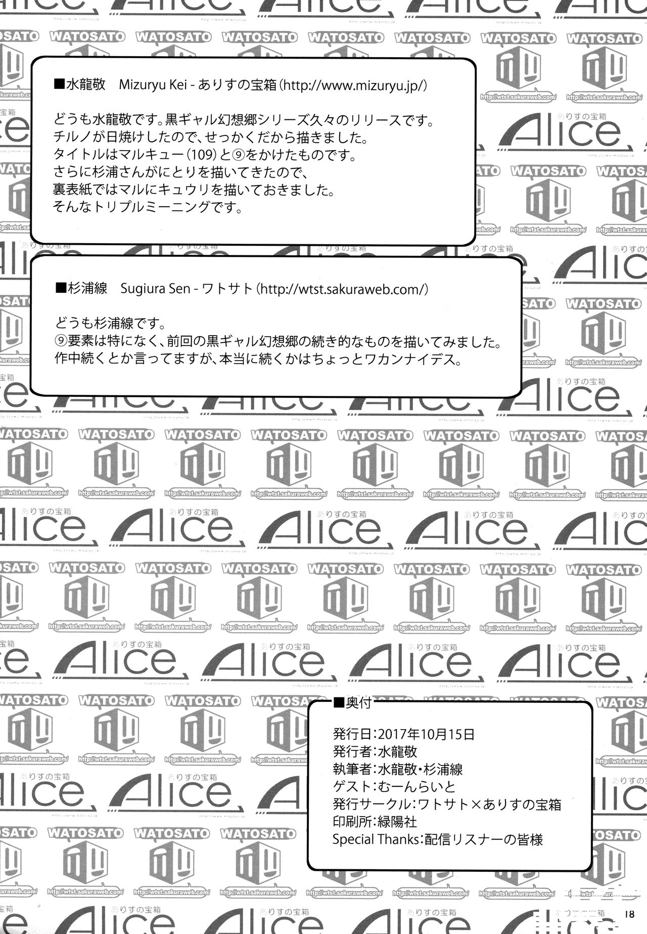 17.jpg