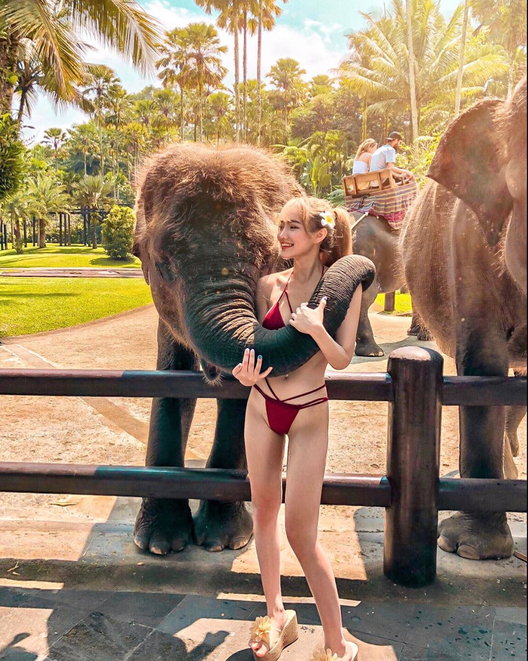 連大象也抵擋不了「Donna奶妹」的魅力　緊緊纏繞蜂腰身材