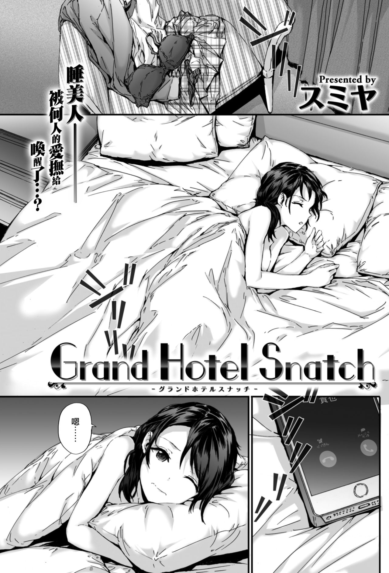 [スミヤ] Grand Hotel Snatch - 情色卡漫 -