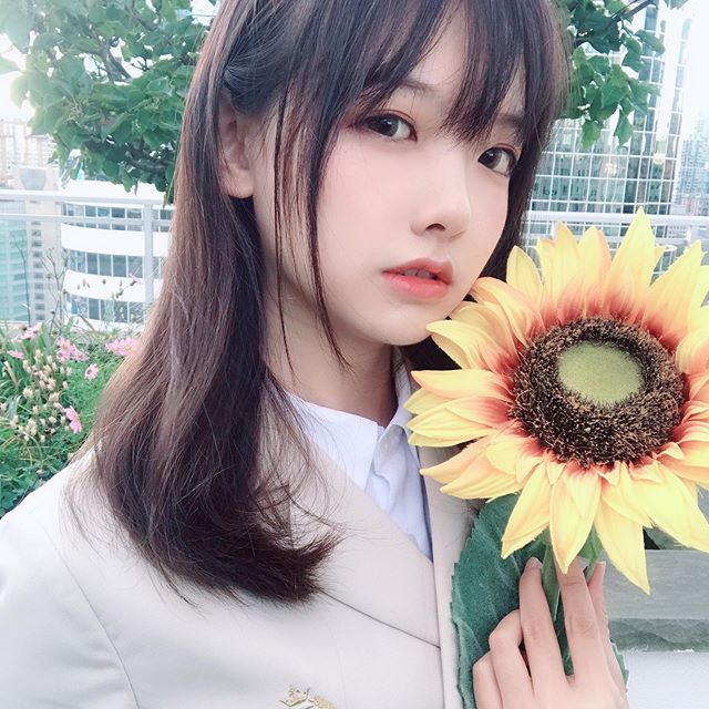 包你發娛樂城外掛