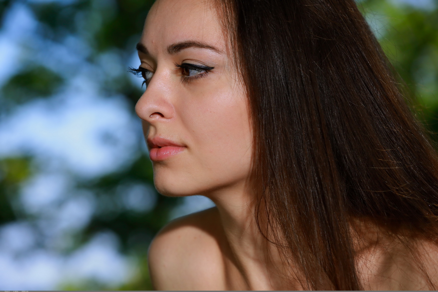 Domai Models