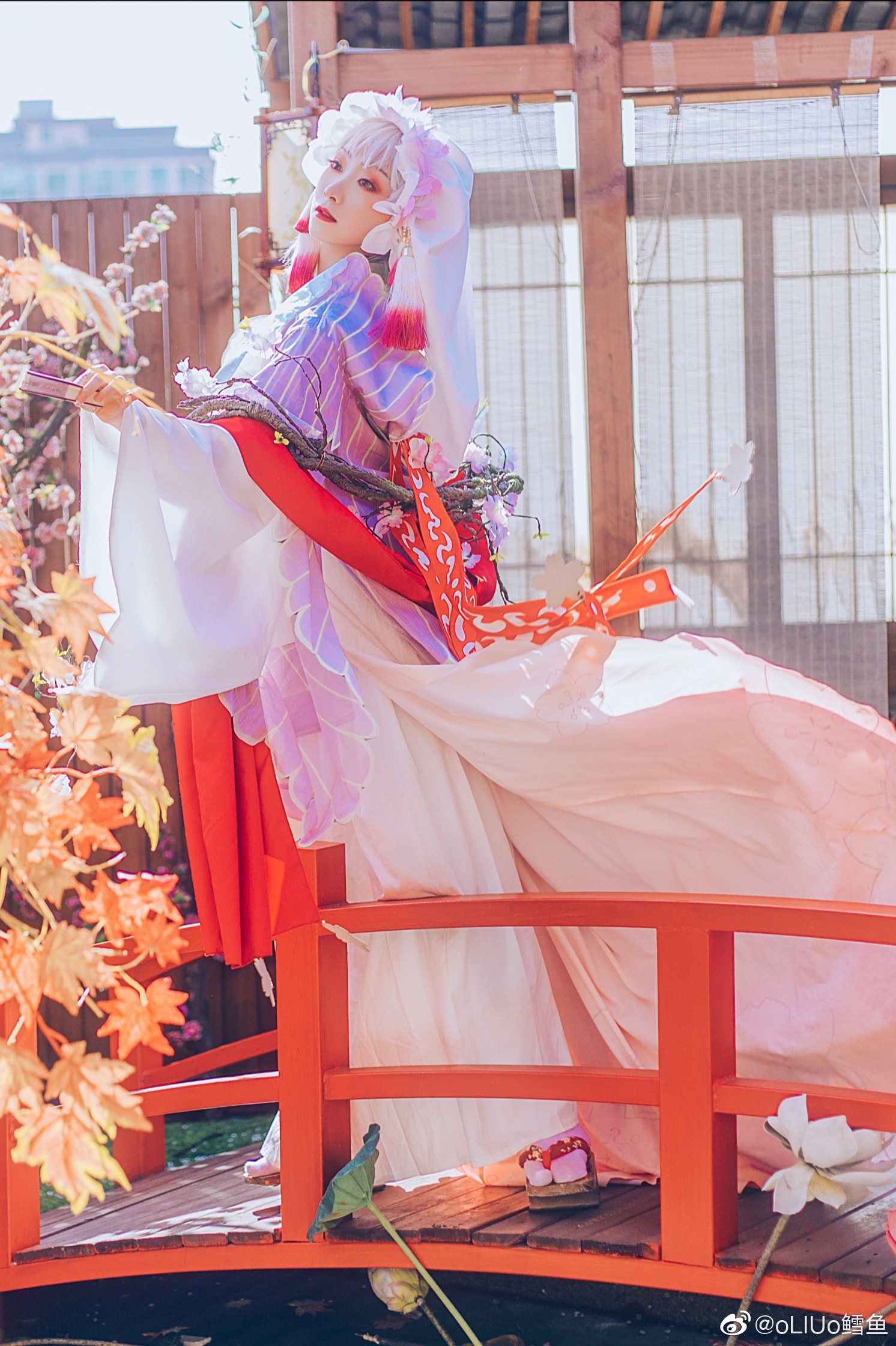 陰陽師 櫻花妖 @oLIUo鳕魚 - COSPLAY -