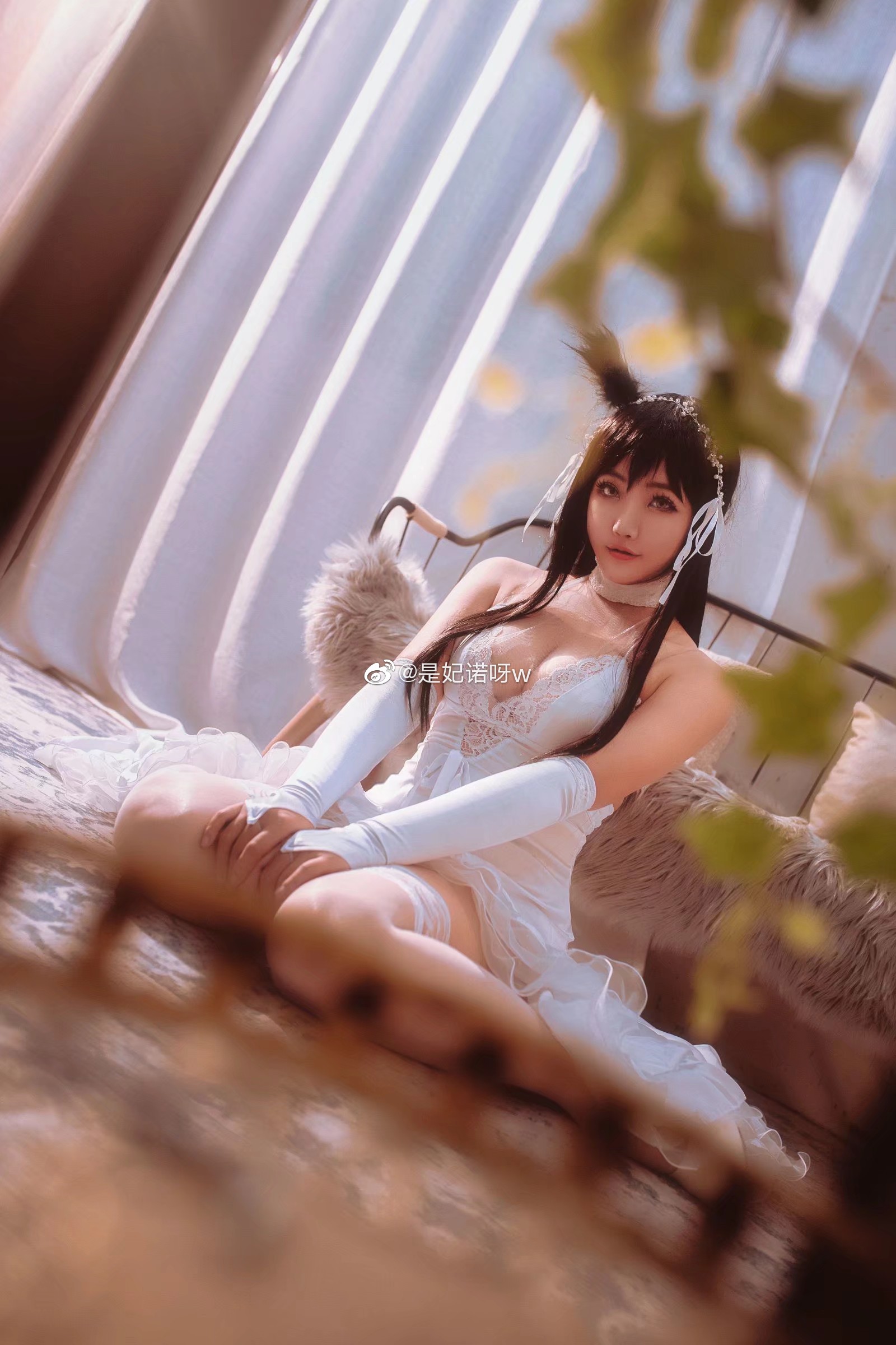 碧藍航線 愛宕 犬 @是妃諾呀w - COSPLAY -