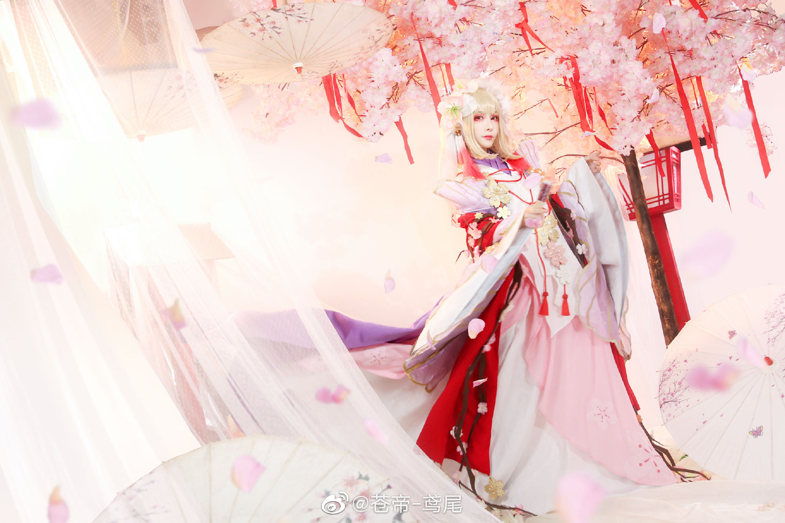 陰陽師  櫻花妖  @蒼帝-鸢尾 - COSPLAY -