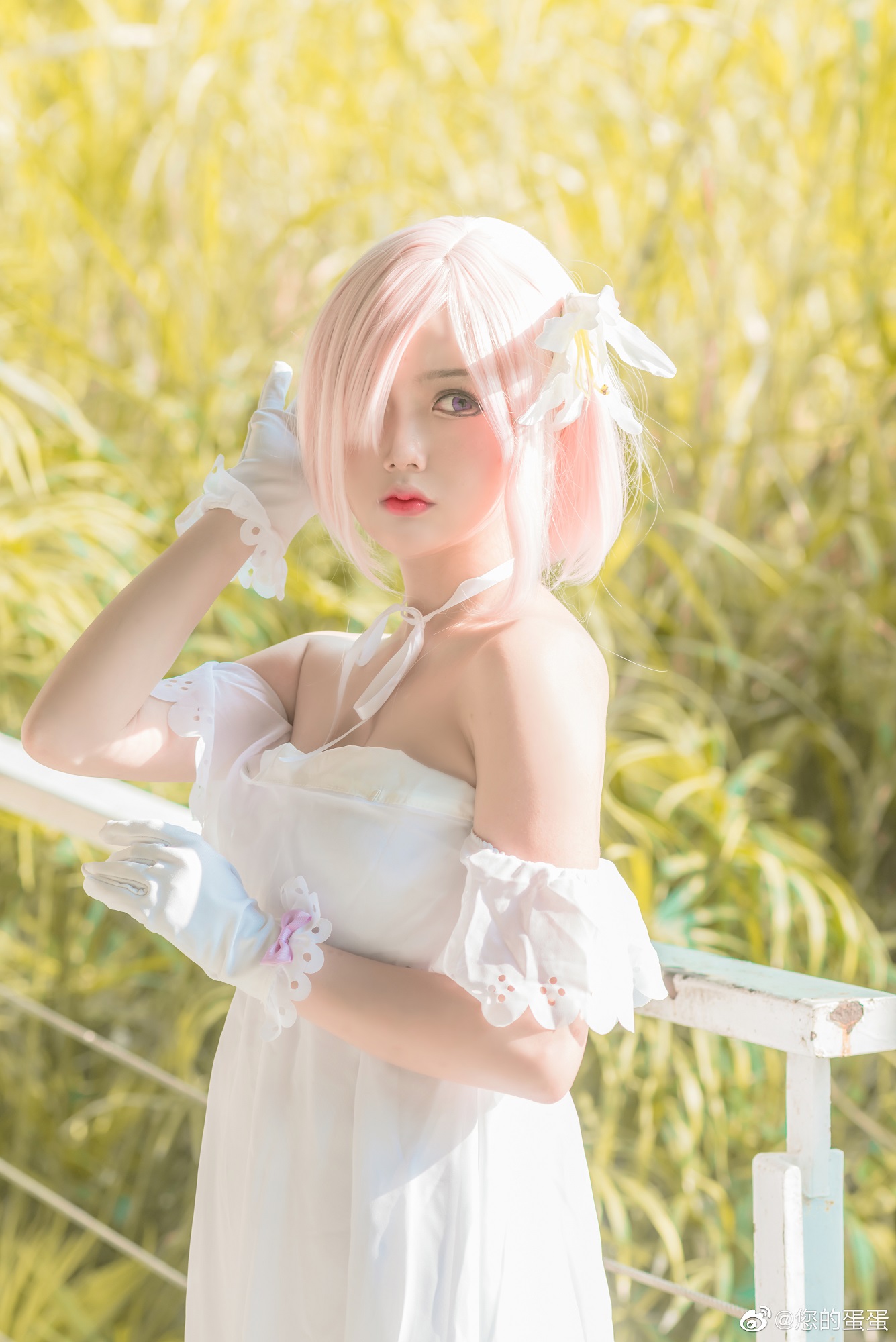 Fate/Grand Order  瑪修·基列萊特 禮服  @您的蛋蛋 - COSPLAY -