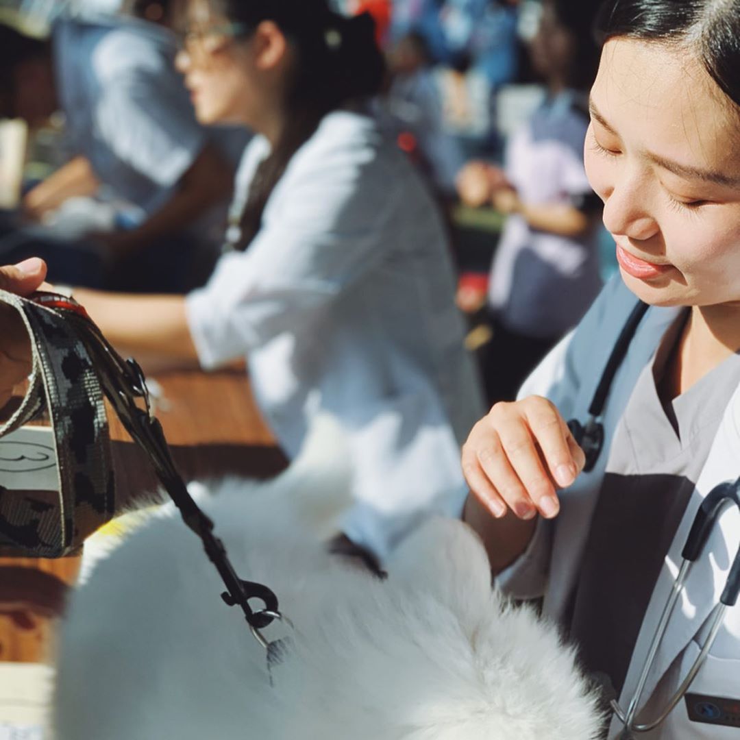 正妹獸醫「茜茜」 甜美清新氣質讓人秒醉　抱萌寵溫柔眼神讓人好想娶回家