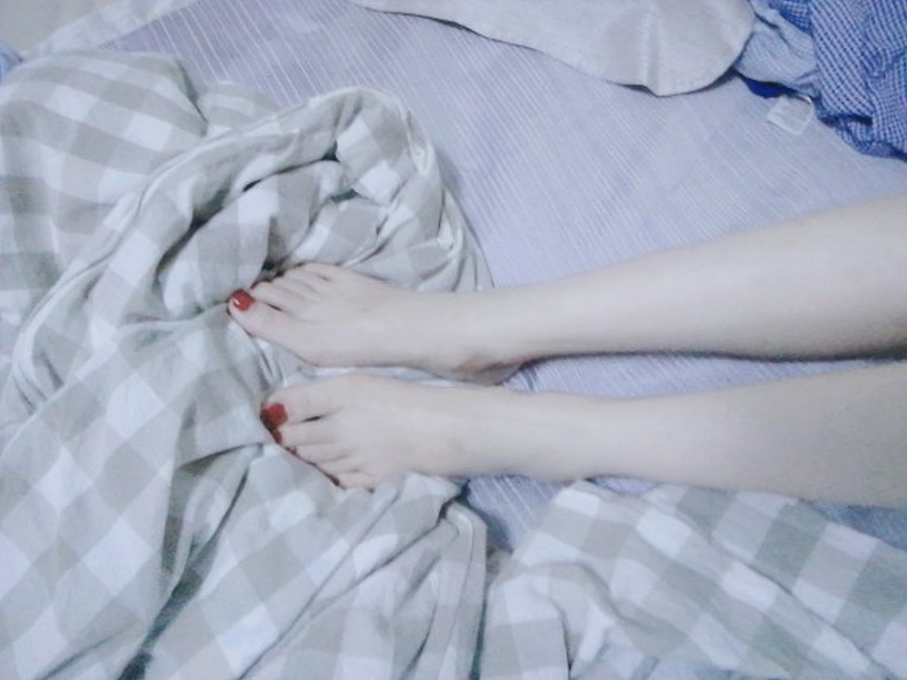 本 日 精 彩 推 薦 