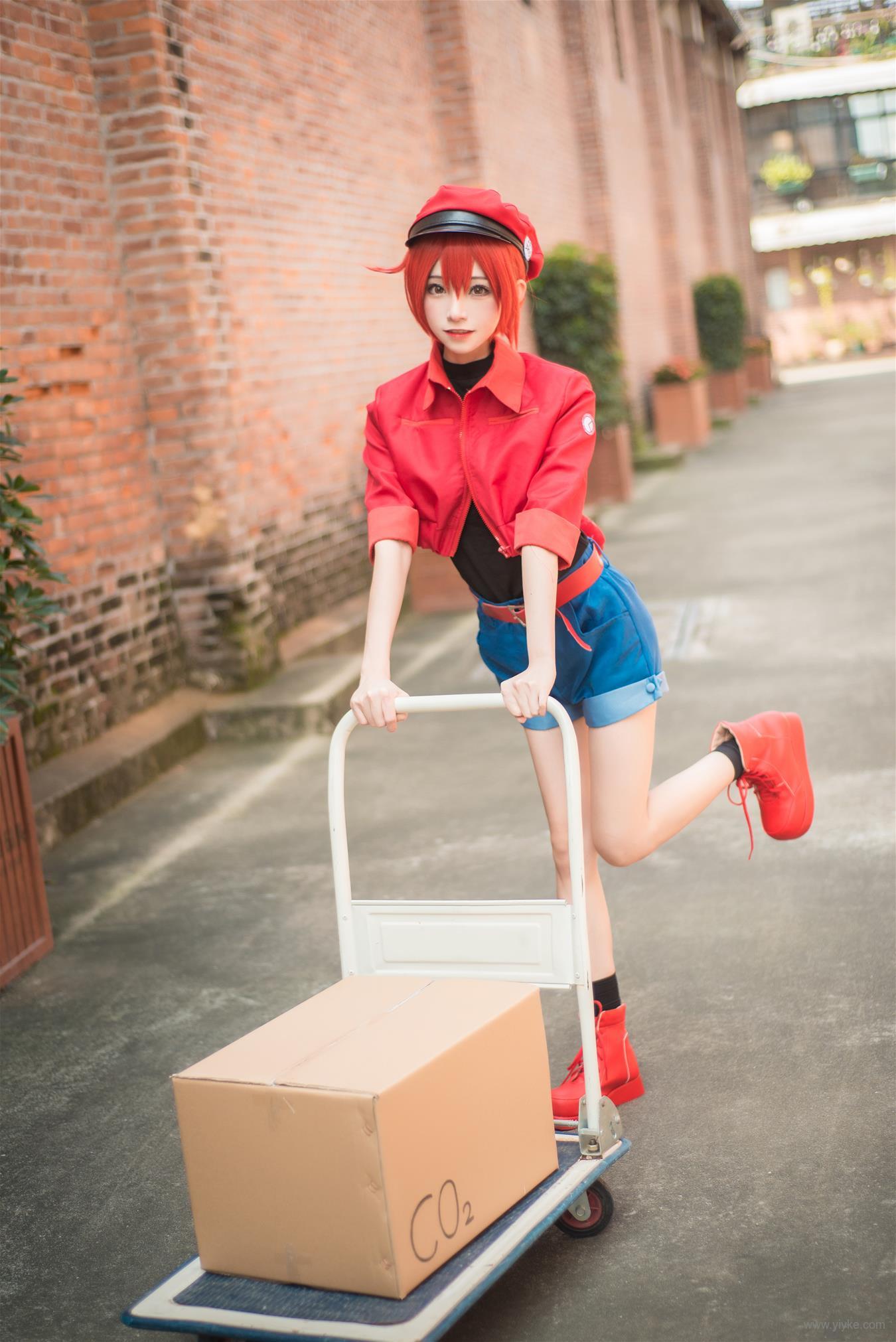 绮太郎Kitaro 工作細胞 - COSPLAY -