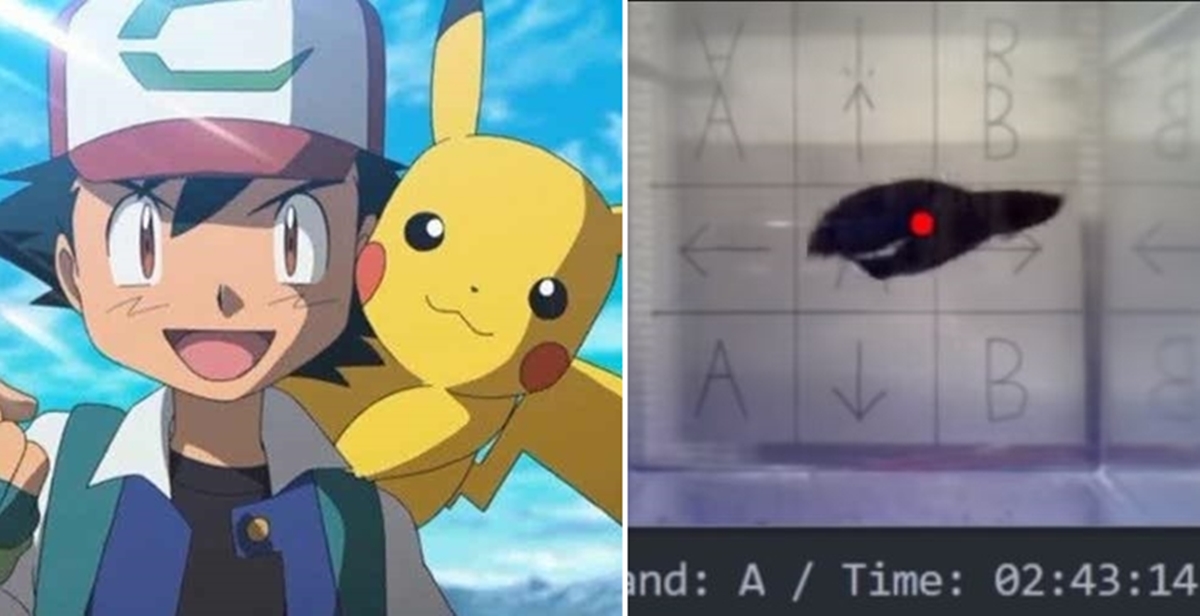 N/A