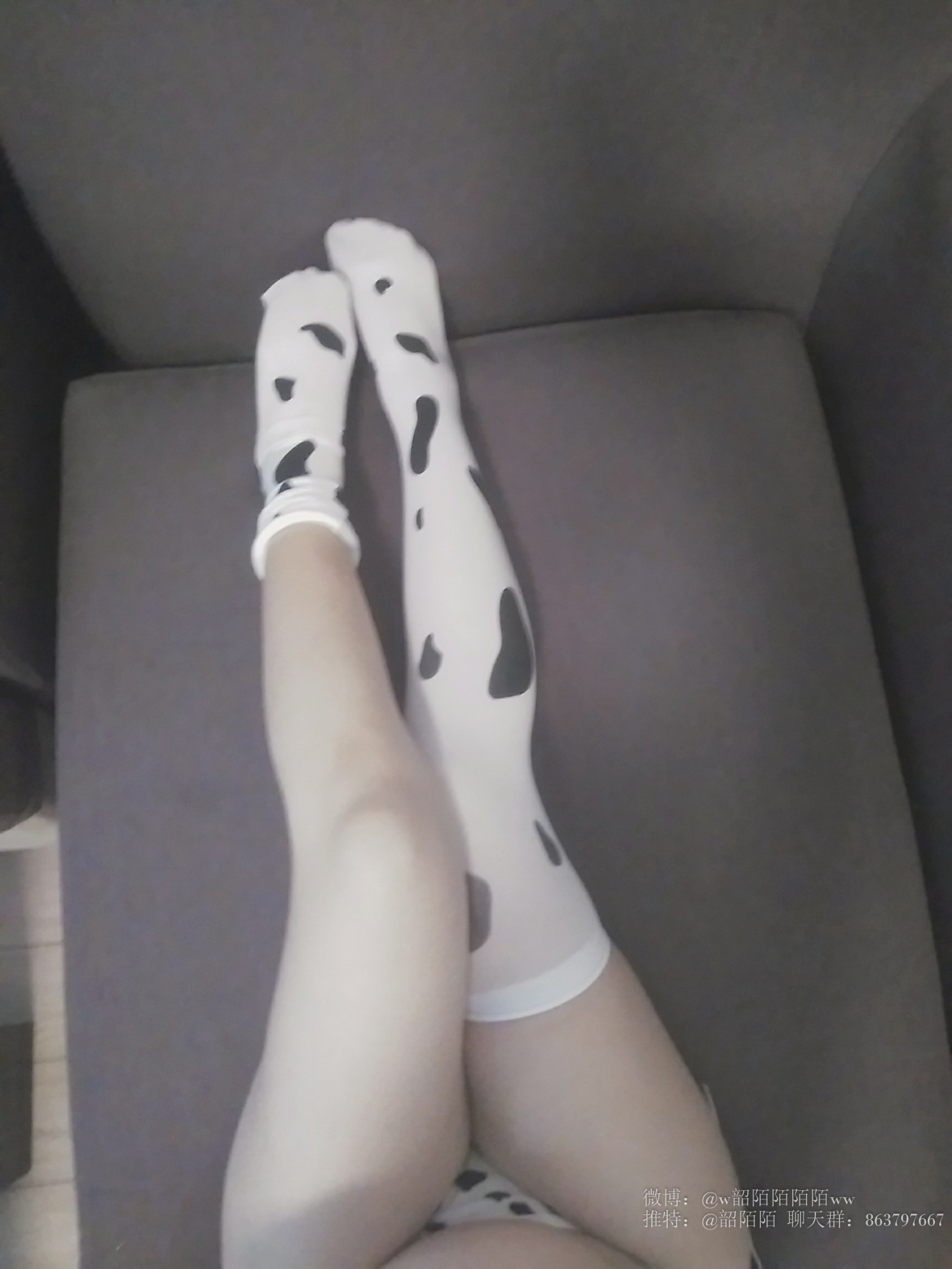 10_lunai.cc10.jpg