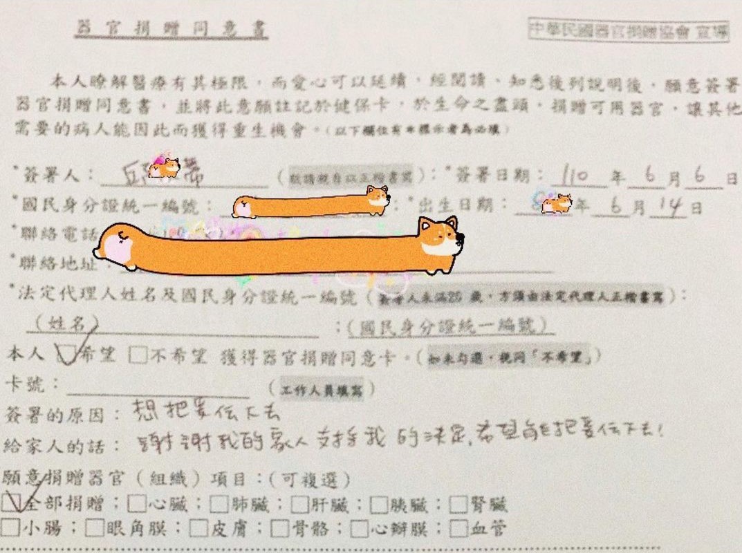 人美心也美！JKF 女郎「邱比特」簽「器官捐贈同意書」當自己的生日禮