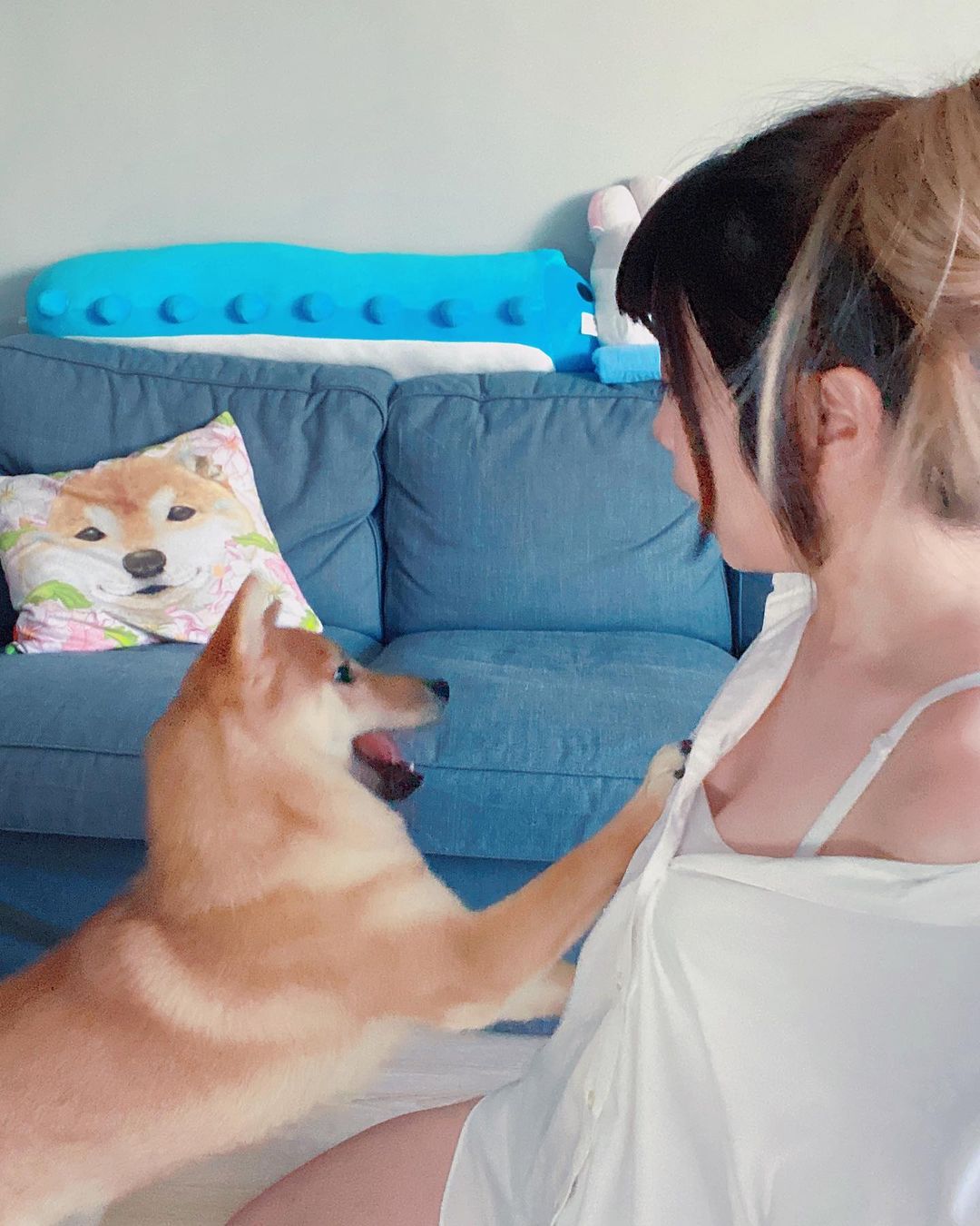 女友系超正台灣網美林小蔓 好想當柴犬 - 美女圖 -