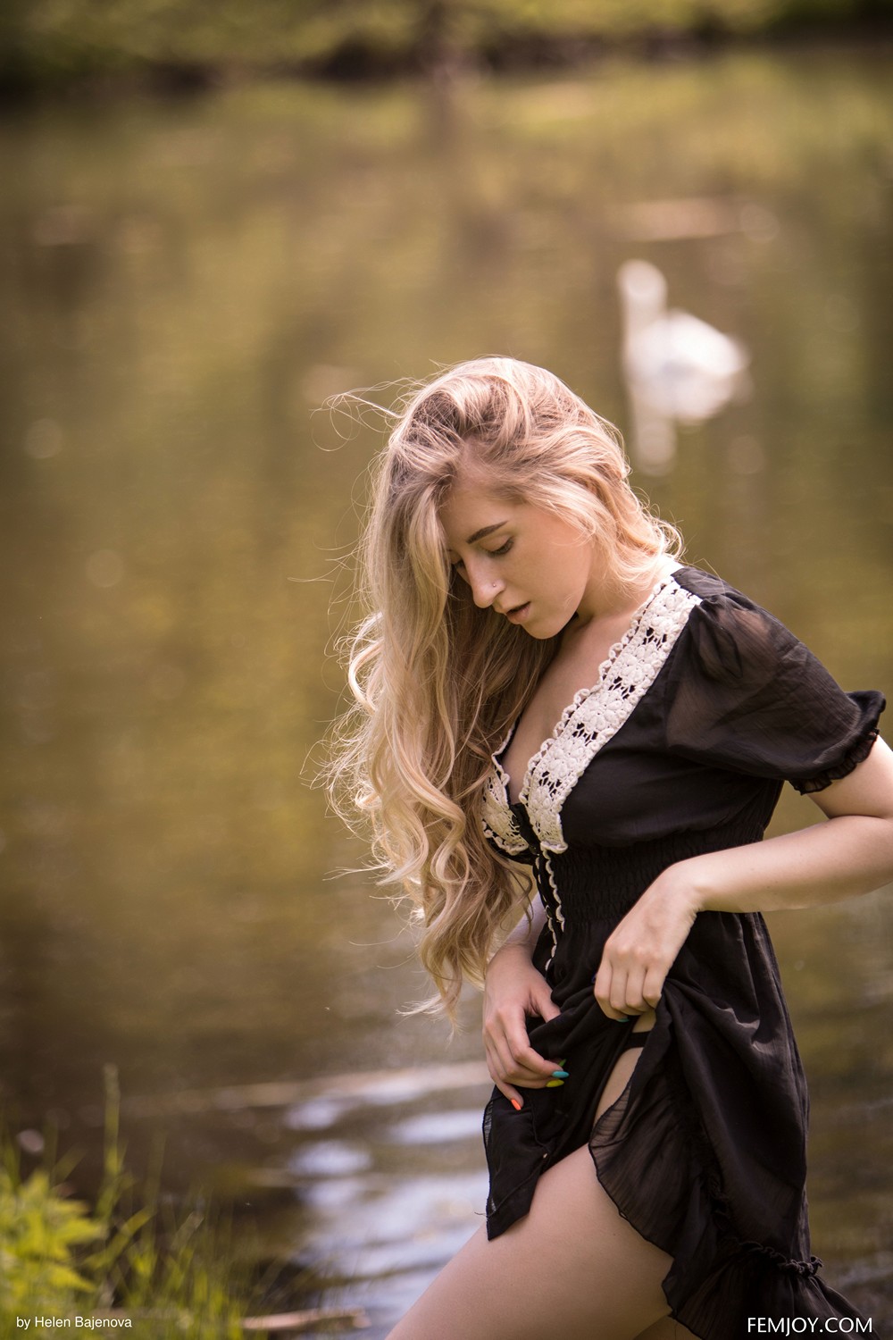 Lily Ivy Stream