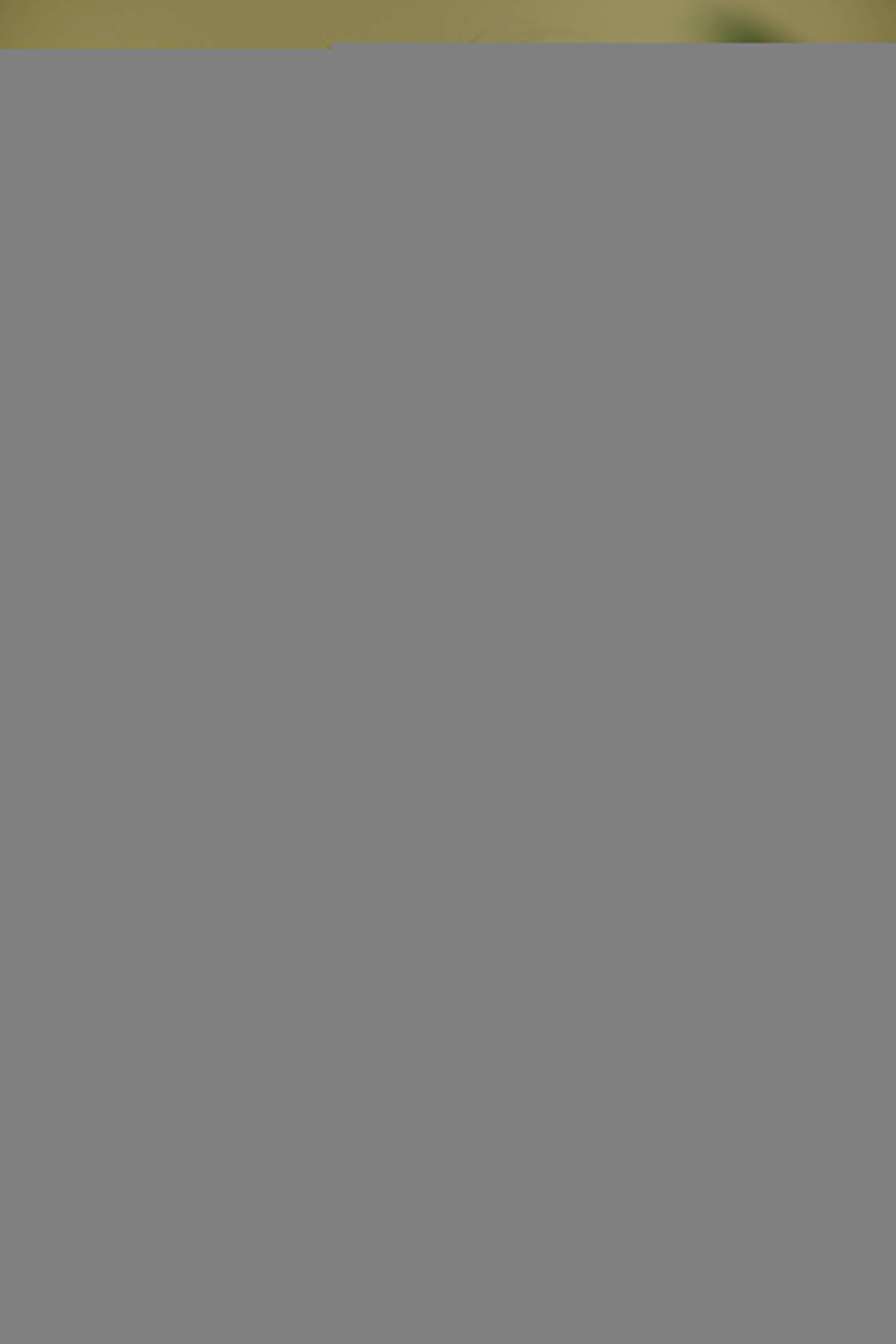 1_037_result.jpg