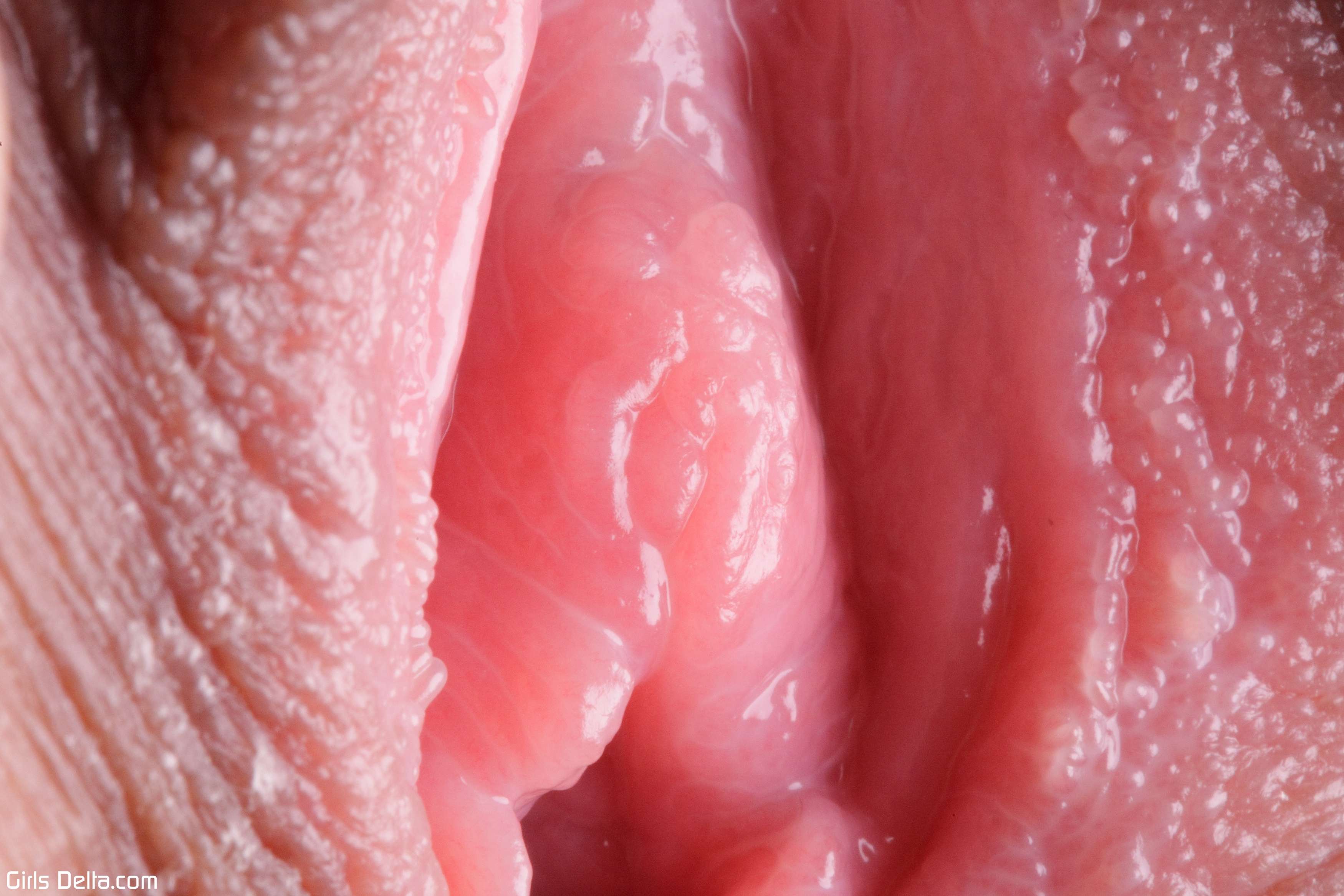 1_159_result.jpg