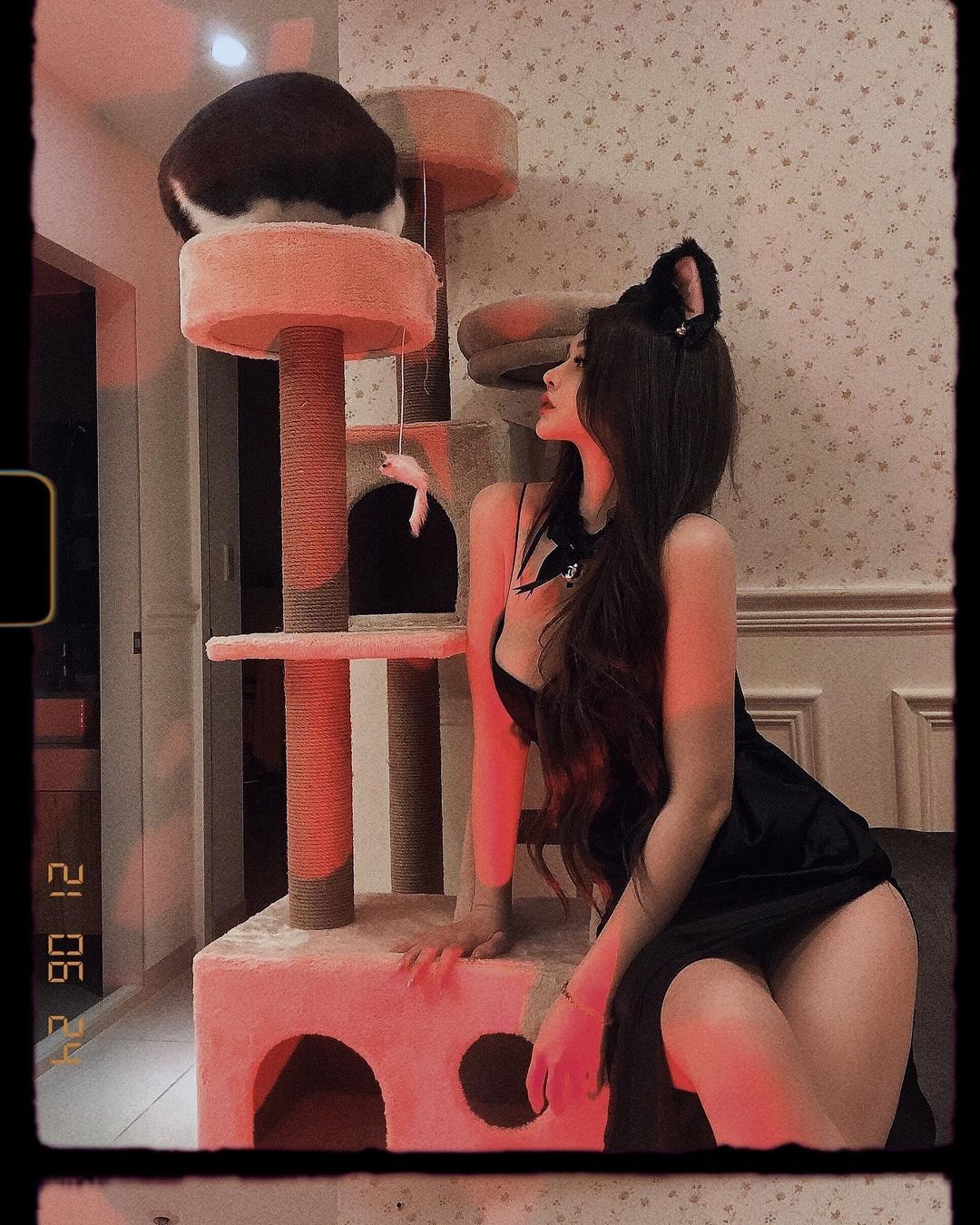 「巨乳貓貓」也想玩貓爬架！「窈窕正妹」Misa 蜜莎化身性感小貓咪，火辣到不行！