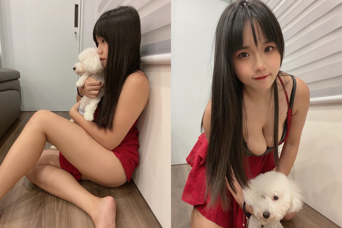 正妹「寵物美容師」曬事業線福利稱「我在拯救世界」網友謝聲一片