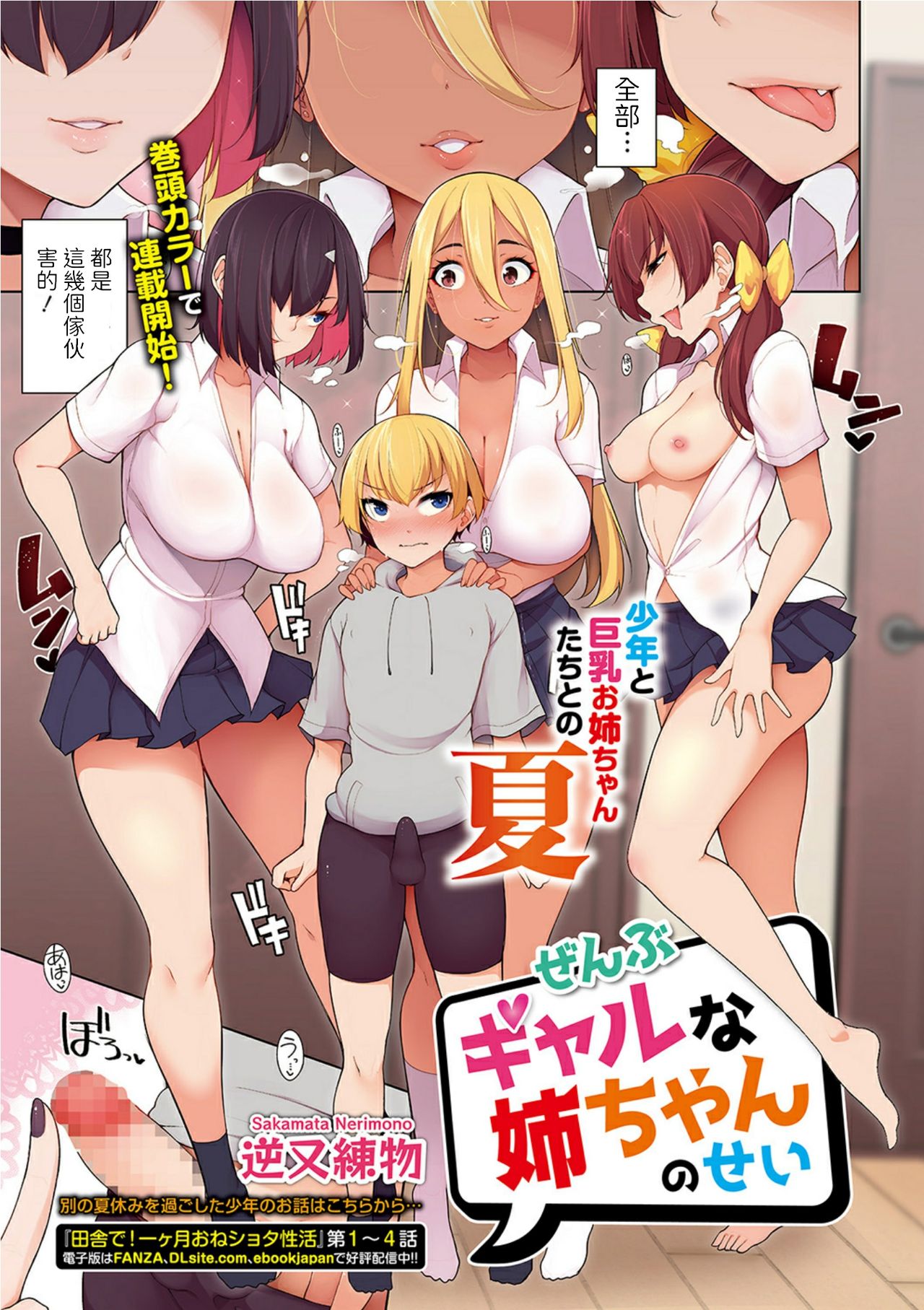 [逆又練物] ぜんぶギャルな姉ちゃんのせい - 情色卡漫 -