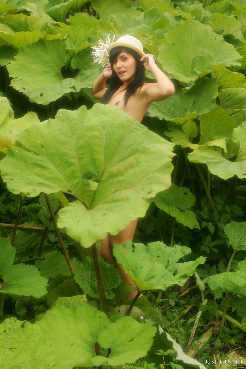 Anna - Lappola - 貼圖 - 歐美寫真 -