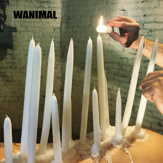 WANIMAL精品收藏 (四) - 貼圖 - 清涼寫真 -