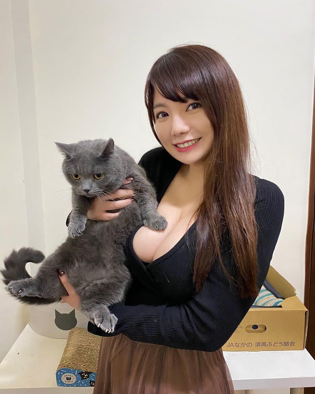 嘉義走失貓懸賞金50萬引起關注　「巨乳飼主」曝光更讓網友暴動