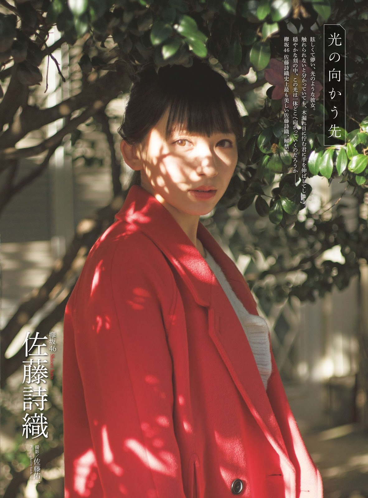 Shiori Sato 佐藤詩織, ENTAME - 貼圖 - 清涼寫真 -
