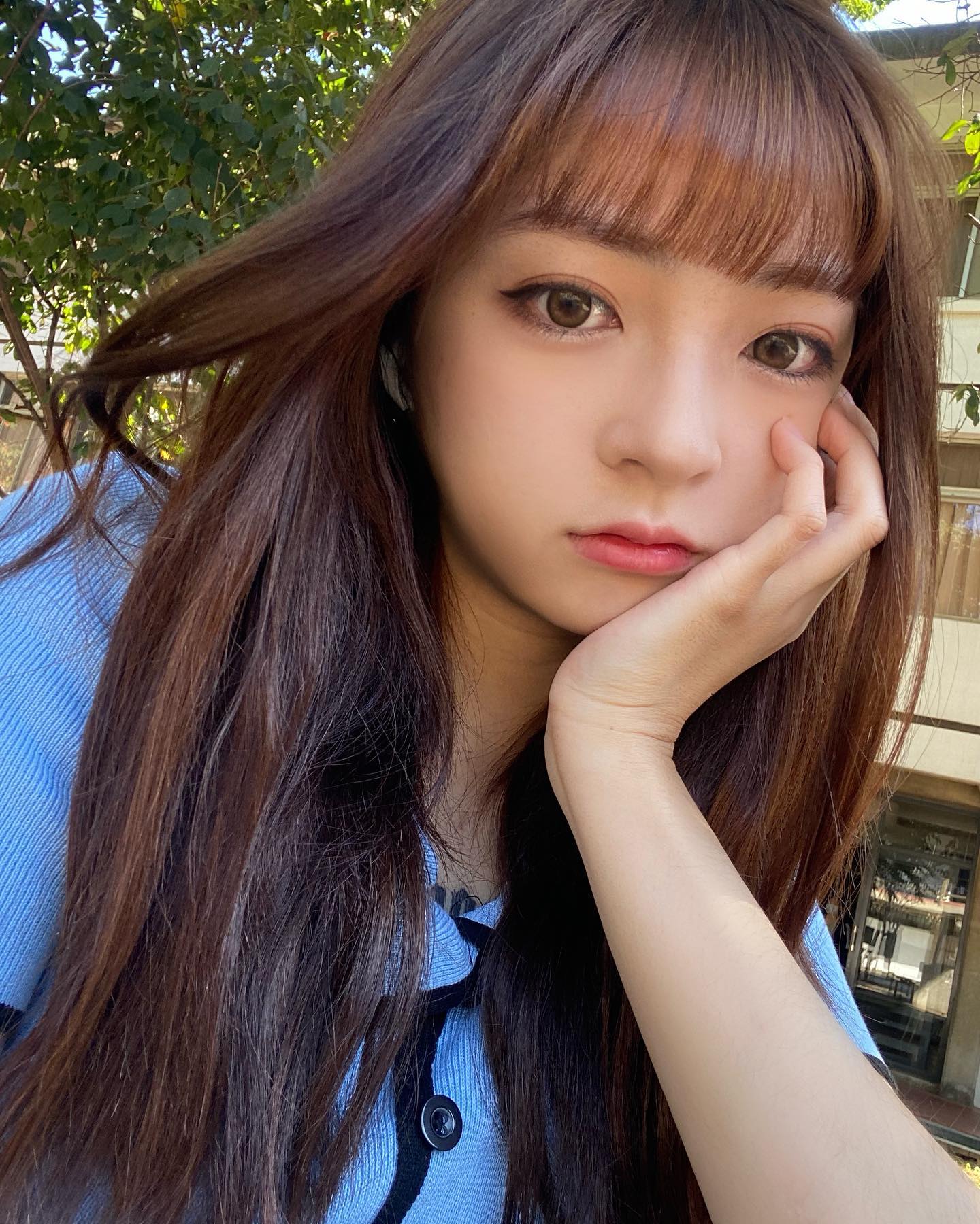 東海 大學 外流