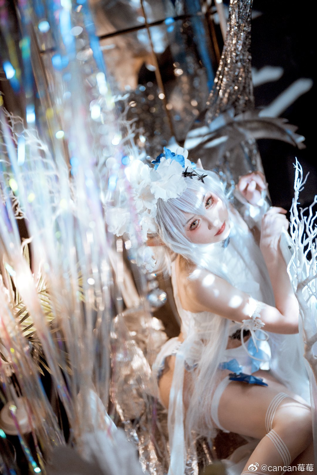 明日方舟   特米米 靜谧午夜   @cancan莓莓 - COSPLAY -