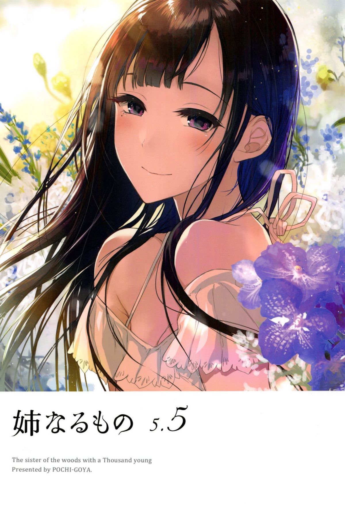 [ぽち小屋。 (ぽち。)] 姉なるもの 5.5 (姉なるもの) - 情色卡漫 -