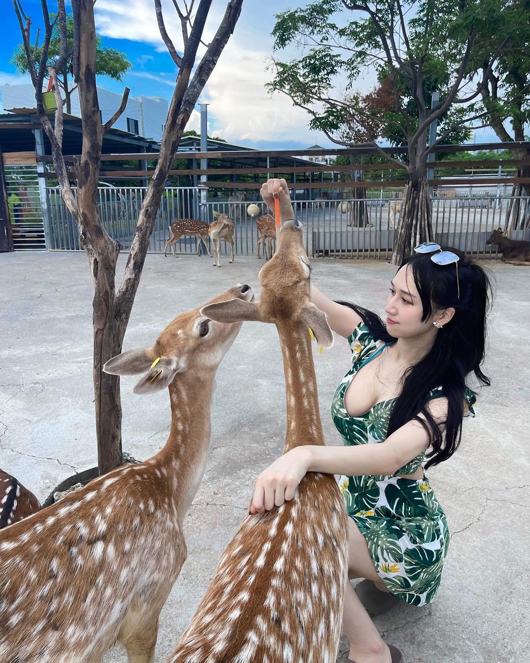 1y.xuan_240445170_221652523236911_3347956759201698451_n.jpg 1y.xuan_240445170_221652523236911_3347956759201698451_n.jpg