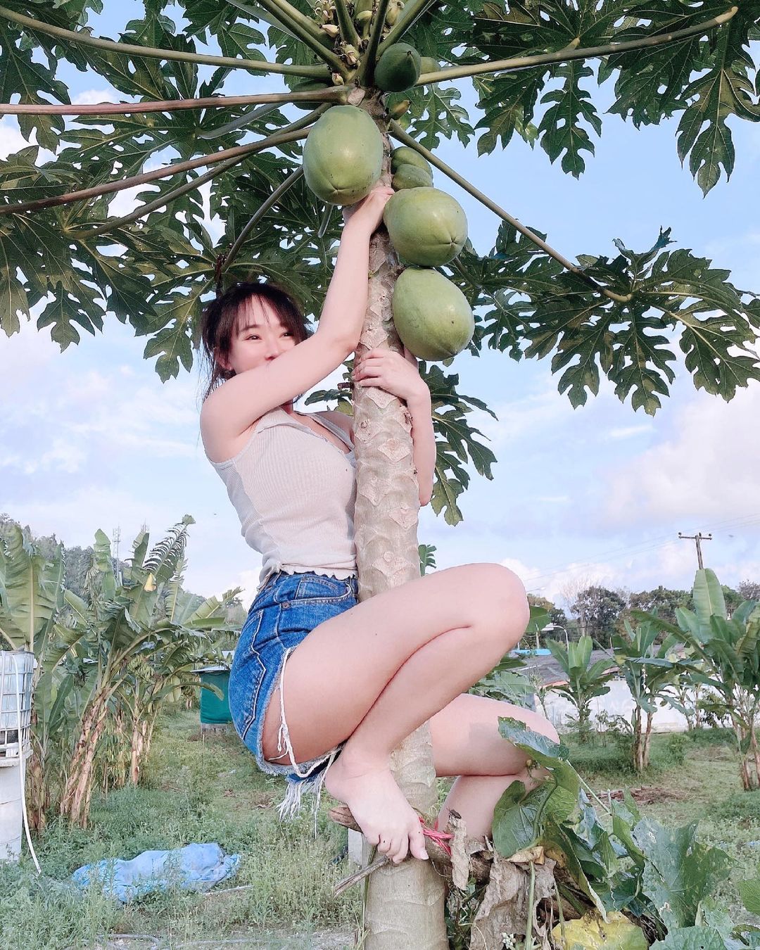 【6upoker】巨乳小姐姐背「兩顆大木瓜」爬樹摘木瓜　打算以形補形嗎？